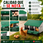 Ponedero para gallinas (3 compartimentos)