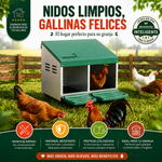 Ponedero para gallinas (2 compartimentos)