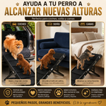 Rampa para perros (Marron oscuro)