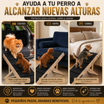 Rampa para perros (Marron claro)